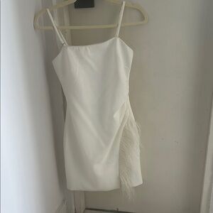 Likely White Dress with Feather Detail